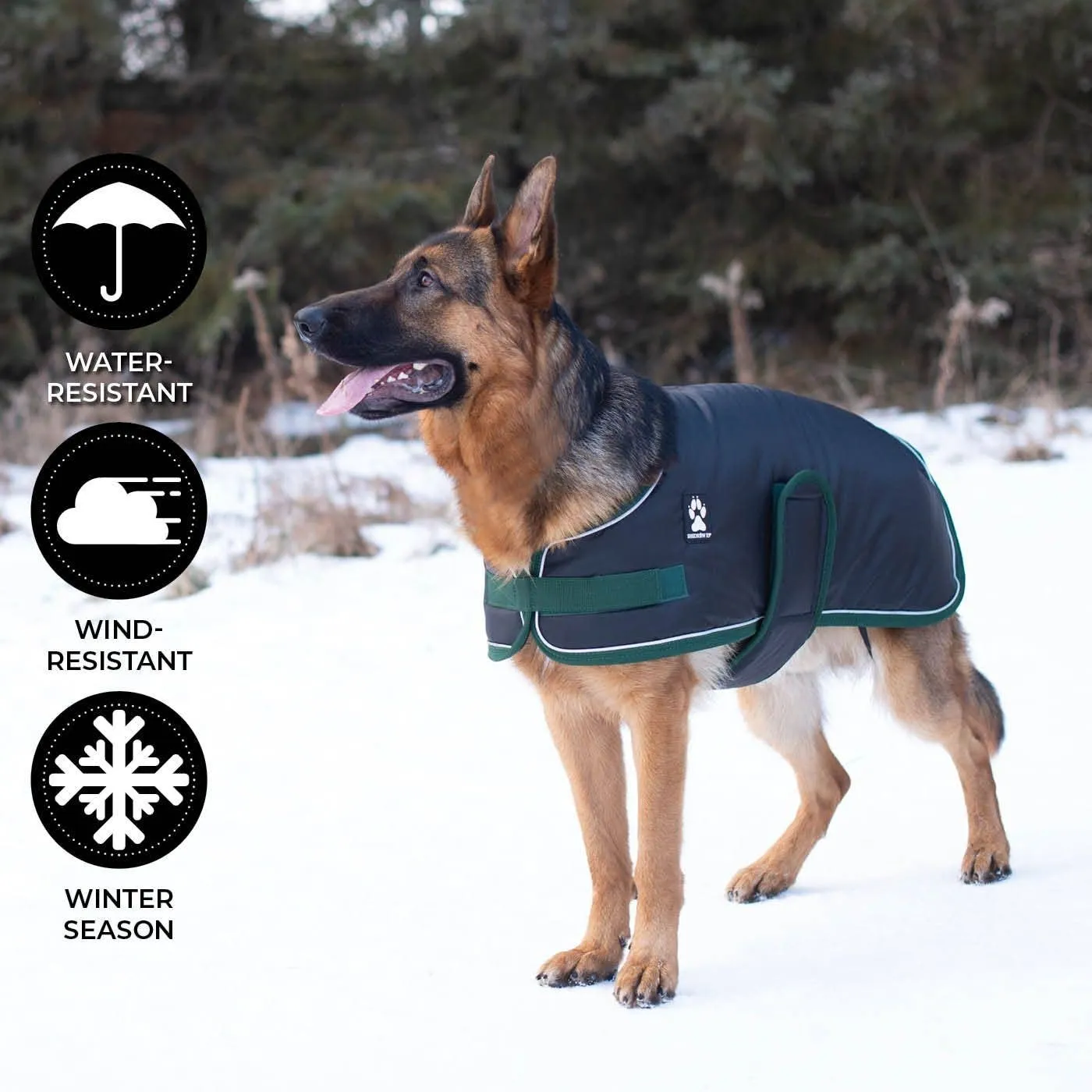 Shedrow K9 - Shedrow K9 Vail Dog Coat - Black: Quadruple Extra Large