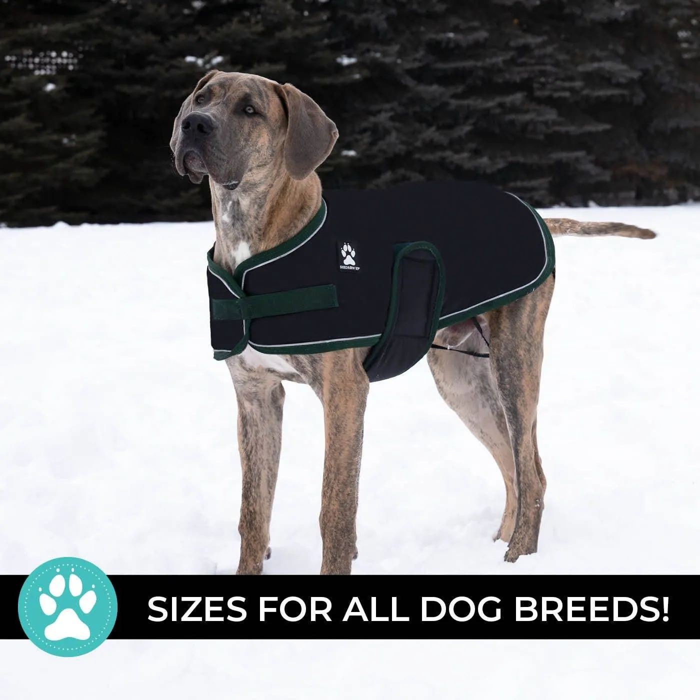 Shedrow K9 - Shedrow K9 Vail Dog Coat - Black: Quadruple Extra Large