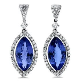 Tanzanite Earrings